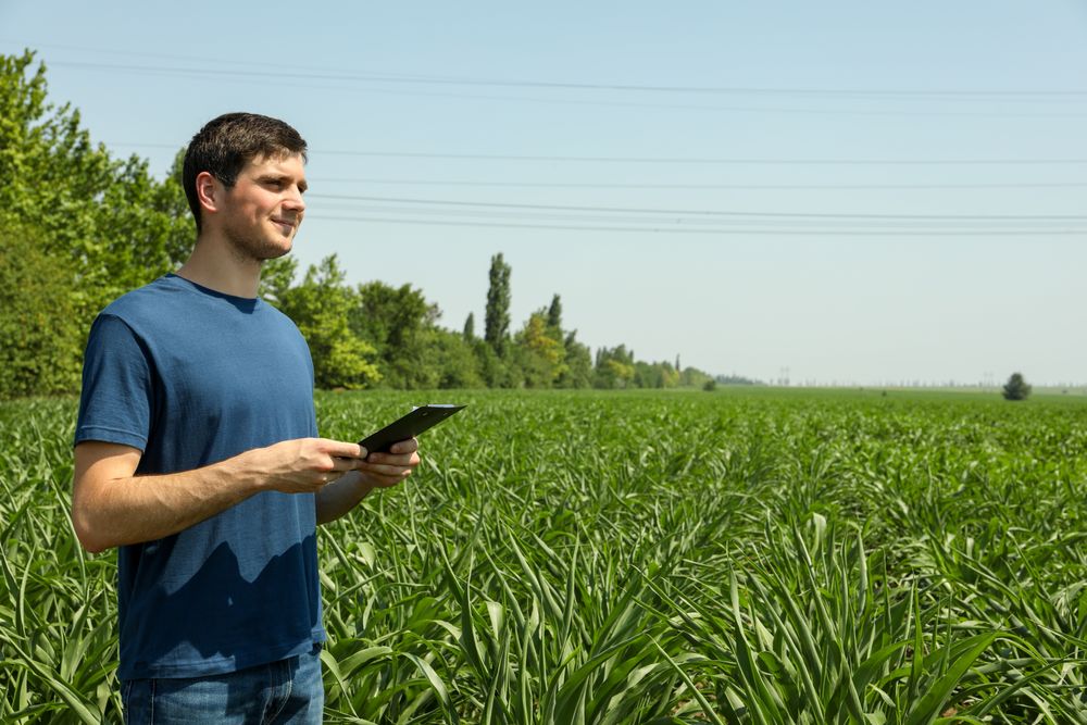 Man with clipboard in corn field. Agriculture business