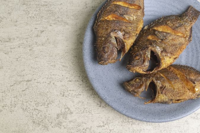 fried tilapia fish