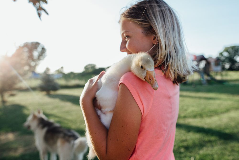 Girl carrying goose in nature