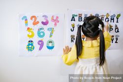 Back view of girl learning ABC and numbers on light board 0PJde4