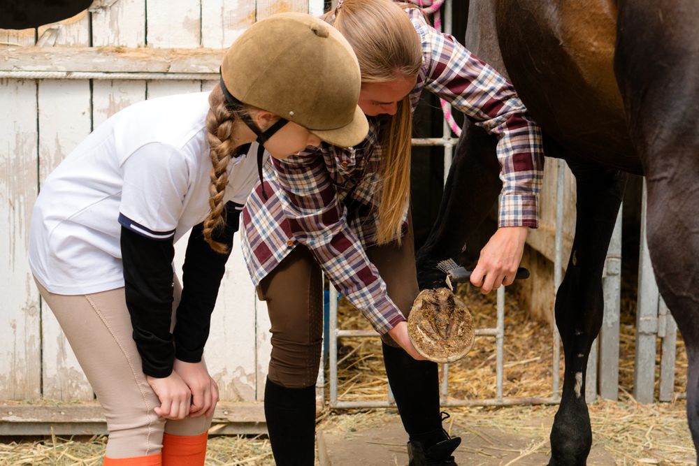 Girl watches instructor clean horse's hoof.