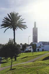 Old tower near lawn and trees in sunny day