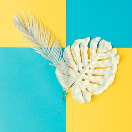 Painted tropical and palm leaves on cyan and yellow background
