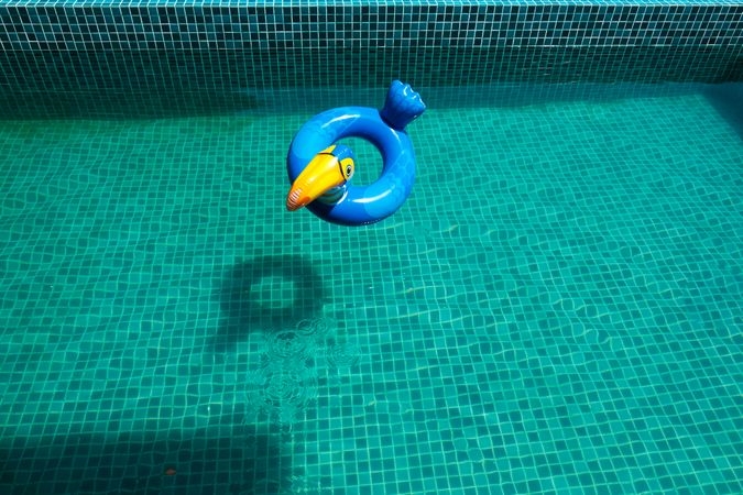 Toucan pool toy floating in pool with no people