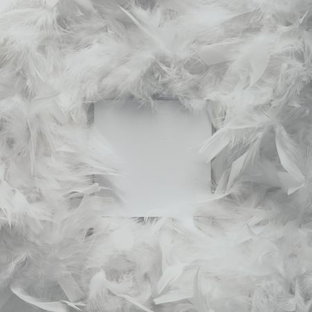 Bright feather texture, with paper card