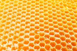 Honeycombs with sweet golden honey on whole background, close up
