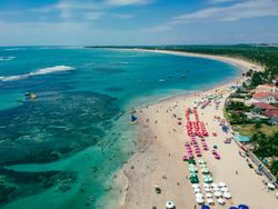 Parasols lining the beach of Porto de Galinhas