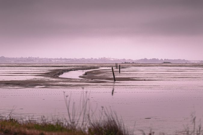 Marshy water at low tide with a pink hue from sunset