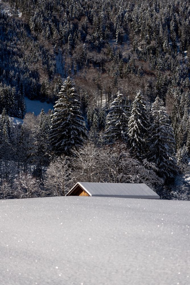 Deep snow scenery in the Bavarian Alps with log cabin rooftop snow-covered