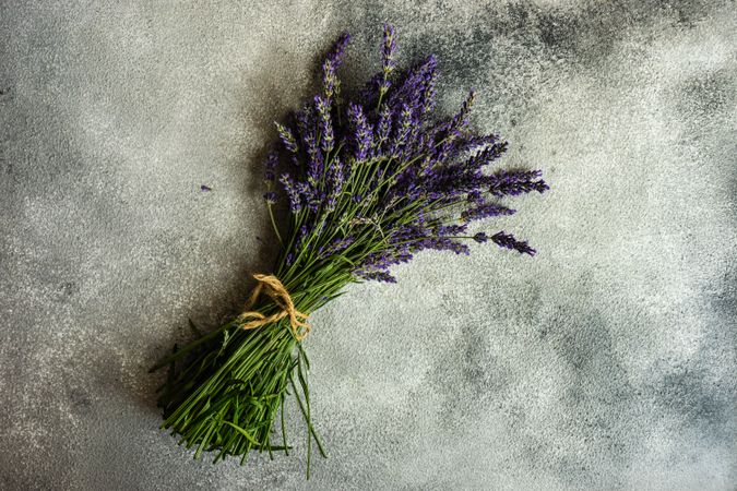Fresh lavender flowers in a frame on a marble counter