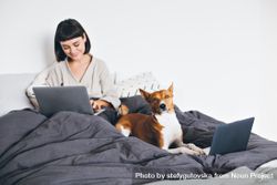 Woman smiling with her dog as they both work in bed with laptops bGm2a5