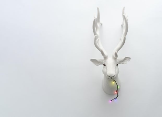 Decorative mounted head of reindeer with Christmas tree lights in mouth