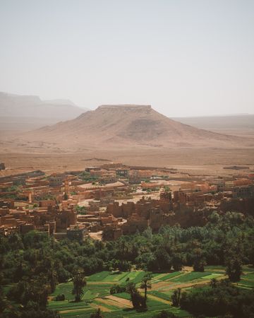 Panorama of green town in desert
