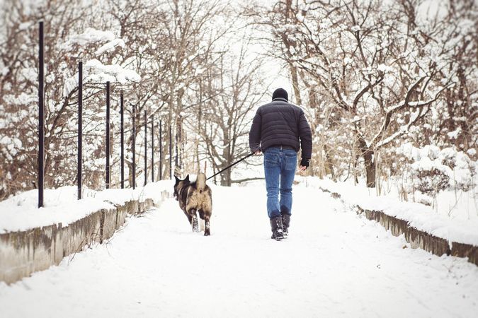Man and a dog walking on snow covered road