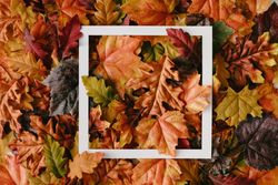 Autumn leaves with paper card note