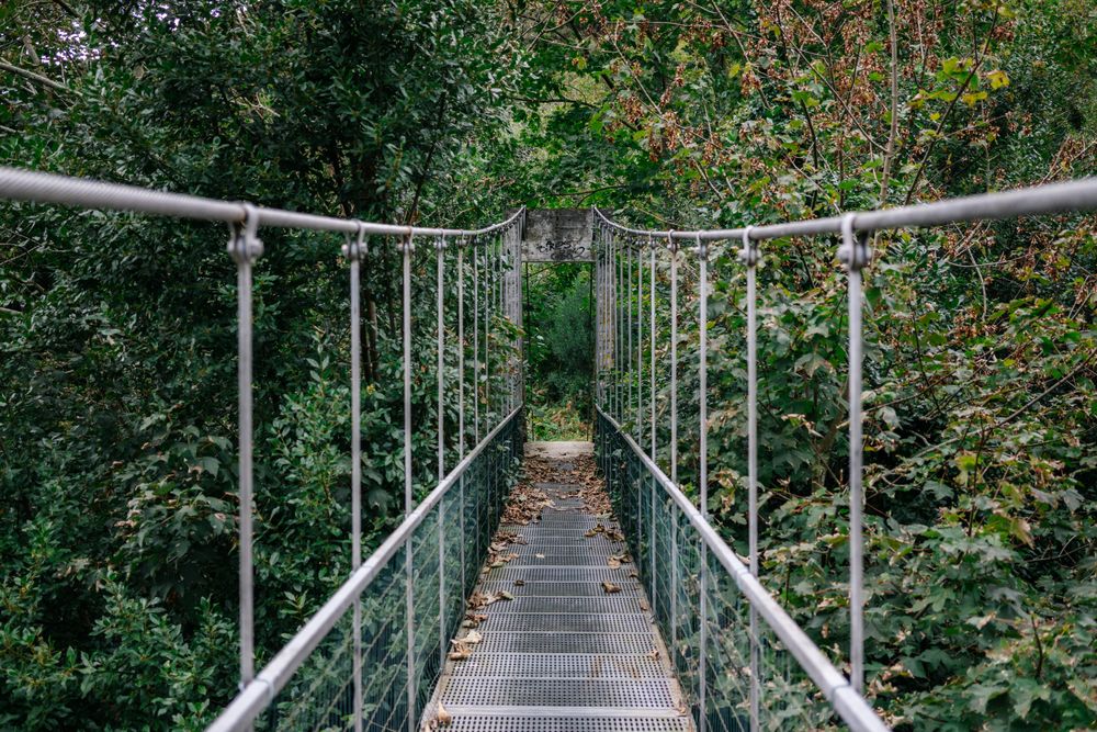 Hanging metal bridge through bushy forest
