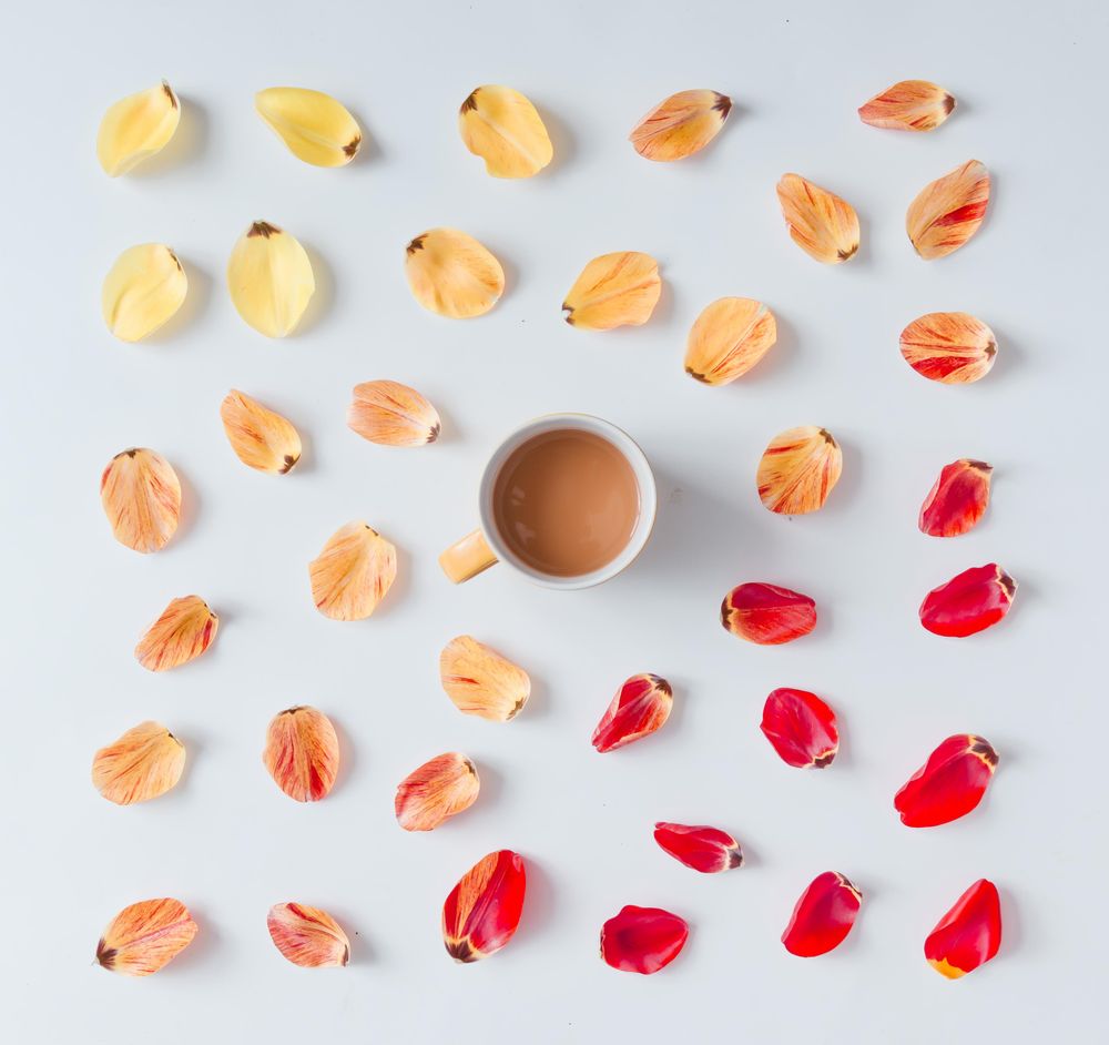 Colorful bright pattern made of tulip flower petals with coffee