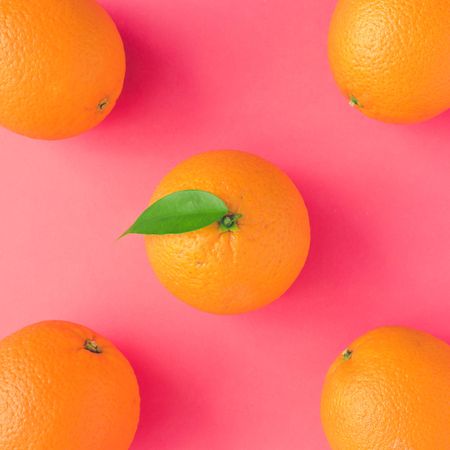 Whole oranges on vivid pink background