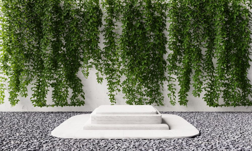 Backyard with vine wall and marble podium