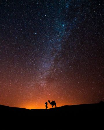 Silhouette of person and camel under starry sky