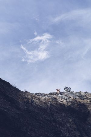 rough cliff on sunny day in countryside