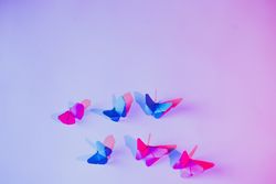 Paper butterflies and leaf on wall