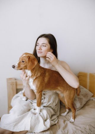 Woman playing with beagle dog on bed