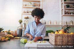 Attractive young woman chopping fruit to make a fresh juice bYGQg5