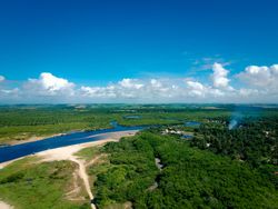 Lush greenery of Brazil at the coast