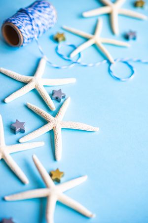 Sea side concept with star shells on blue background