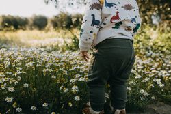 Young boy approaching daisy field