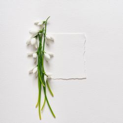 Snowdrop flowers and light paper note