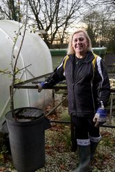 Older woman gardening outside, vertical