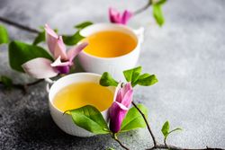 Spring floral card concept with magnolia with green tea