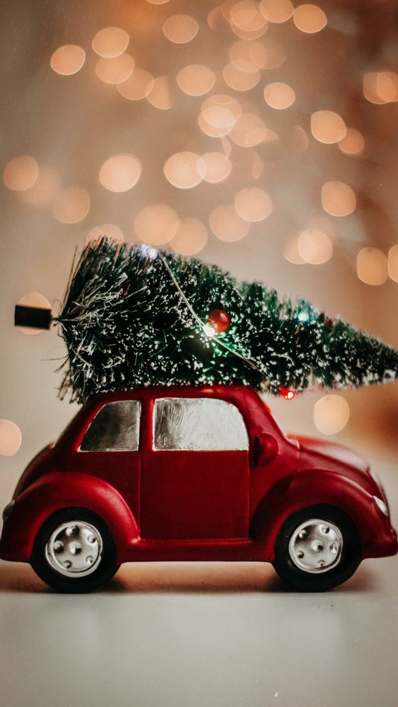 car carrying Christmas tree