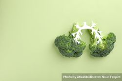 Two stalks of broccoli in lung shape on green background with copy space bGV2e4