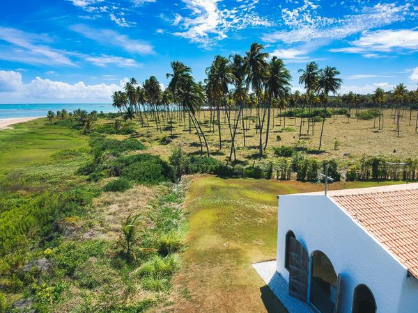 Beach house and palm trees on sunny days