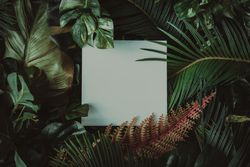 Creative layout made of tropical leaves with paper card note
