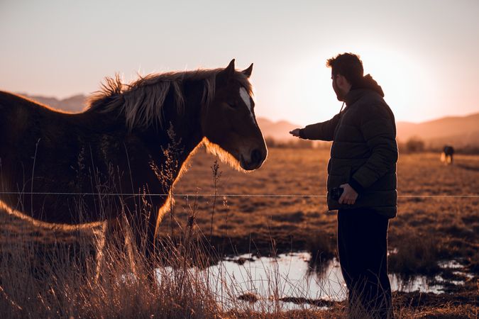 Man shooting on camera wild horse pasturing on field near water