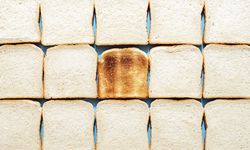 Bread slices arranged in a grid