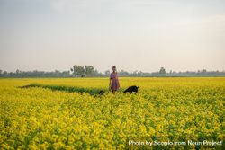 Girl and a dog standing in mustard flower field in Bangladesh 4OXljb