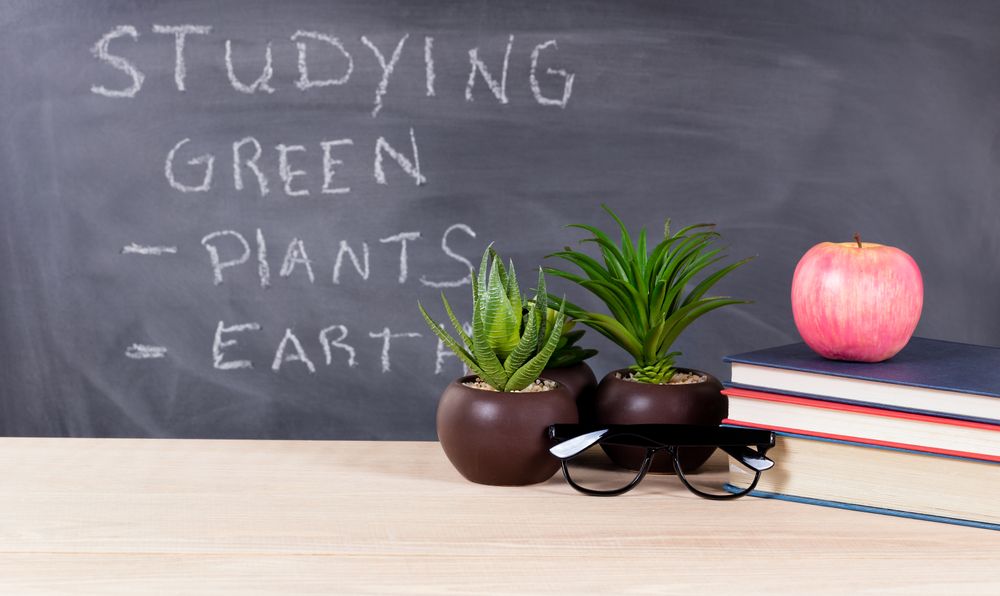 Studying green topics in classroom environment