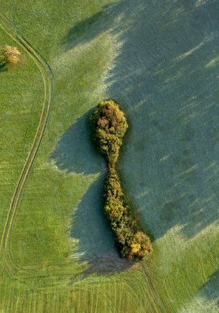 Green meadow in the morning light, covered in frost, drone aerial view