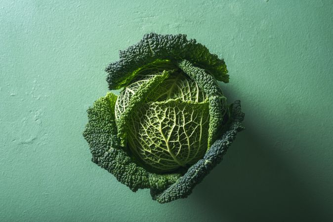 One cabbage on green background