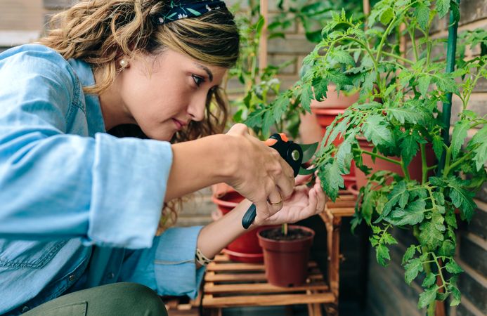 Portrait of woman gardener using pruning shear to trim plant leaves of urban garden on terrace