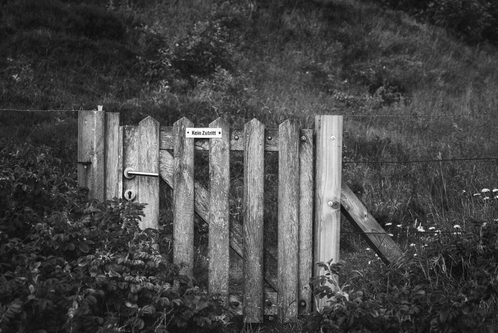Old wood garden door