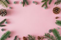 Winter branches bordering pink background