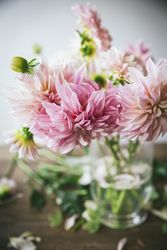 Bunch of flowers in vase on table