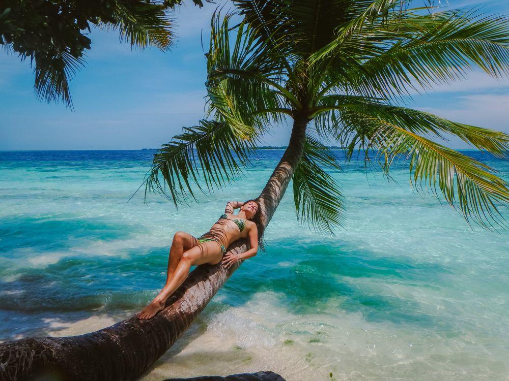 woman resting on a palm tree trunk