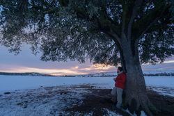 Man playing guitar under tree